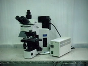 BX51TRF
